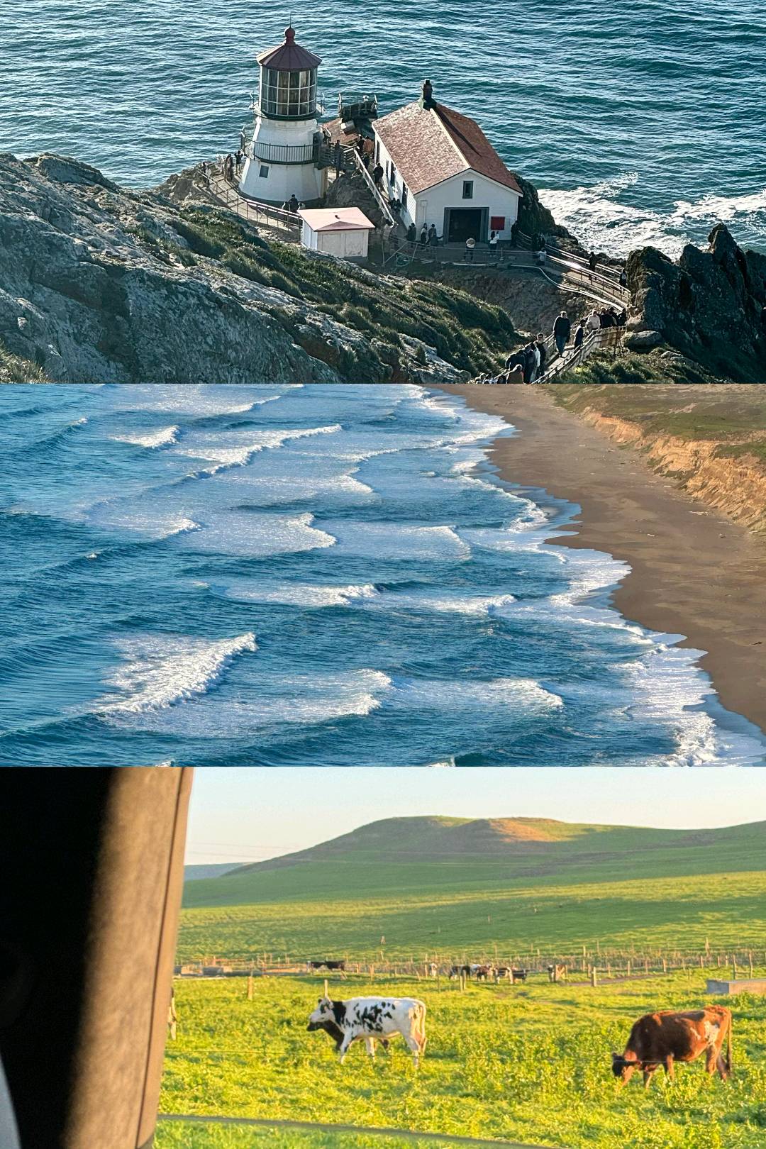 SF周边一日游|Point Rayes🌅🦌 图 1