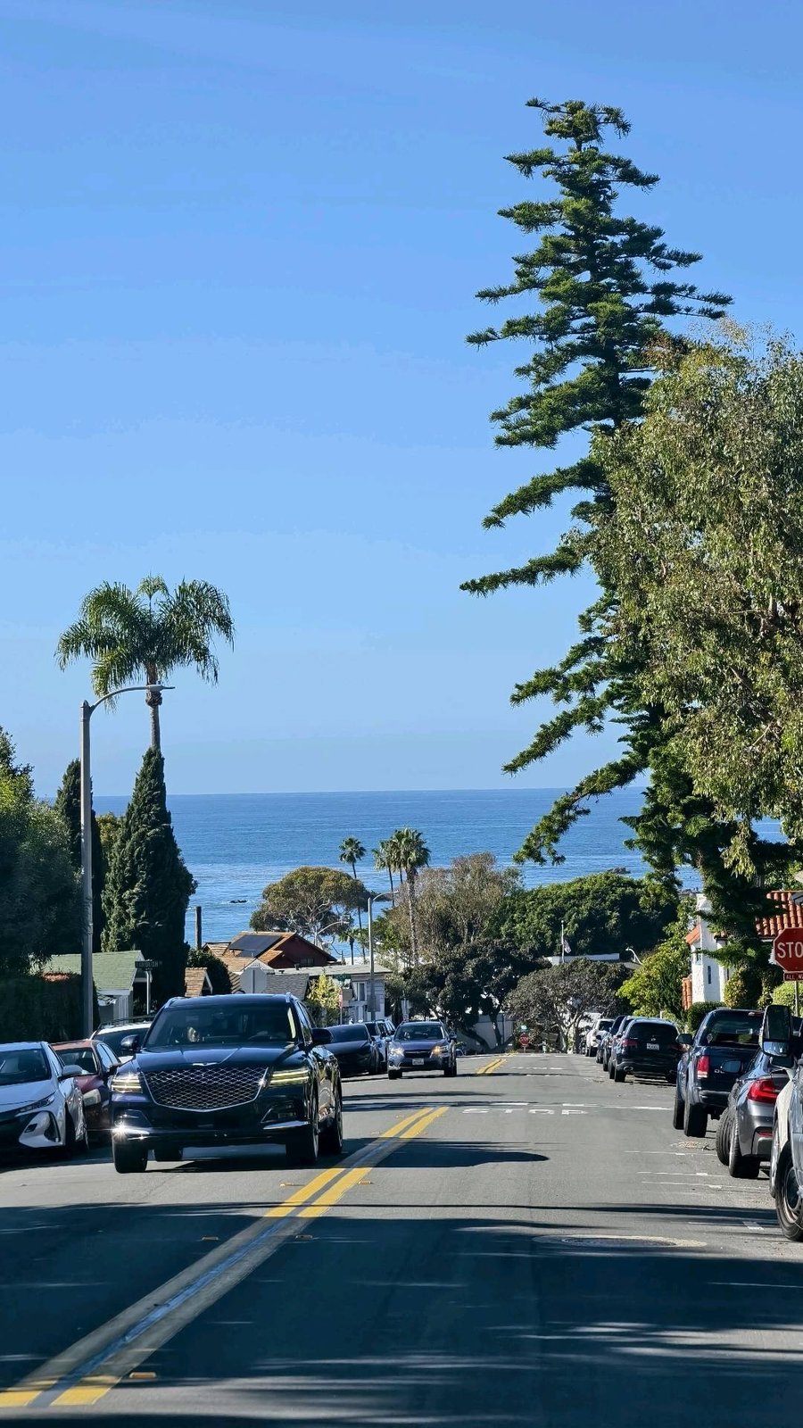 Laguna海滩🌊|南加州绝美海景 图 4